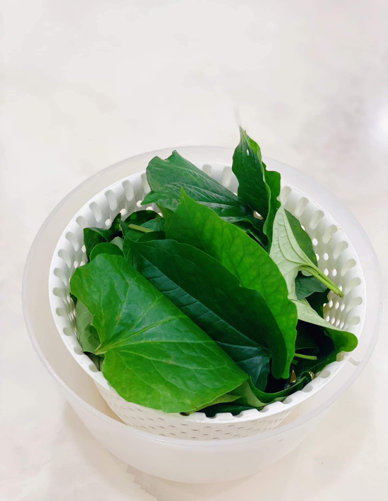Lá lốt rửa sạch, để thật khô